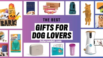 Photo of Best Gift For Dog Lovers In 2024 – telecombit.com