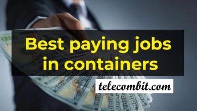 Photo of Best paying jobs in containers/packaging 2023