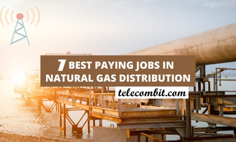 7 best paying jobs in natural gas distribution [2023]