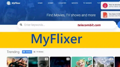 Photo of MyFlixer Alternatives Websites