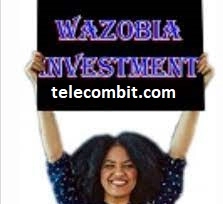Wazobia Investment Login: Empowering Your Financial Journey