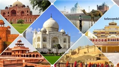 Photo of What is Multiple Wondering about Golden Triangle India Tour?