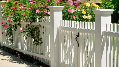 Photo of Fence Landscaping Ideas to Enhance Home Privacy