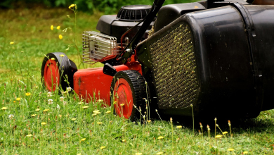 Photo of How to Choose Lawn Care Providers: Everything You Need to Know