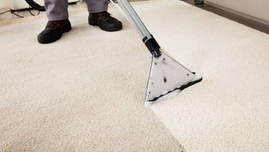 Photo of A Guide to the Best Pet-Friendly Carpet Cleaner of 2023