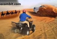 Photo of Sunrise Desert Safari Dubai Tour With Camel Riding 