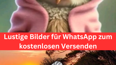 Photo of Lustige Bilder Für WhatsApp: Die Top 11 Zum Kostenlosen Verschicken