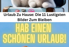 Photo of Urlaub Zu Hause: Die 11 Lustigsten Bilder Zum Bleiben