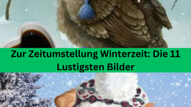 Photo of Zur Zeitumstellung Winterzeit: Die 11 Lustigsten Bilder