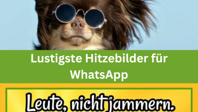 Photo of Die 11 Lustigsten Hitze Bilder Für WhatsApp: Kostenlos Teilen