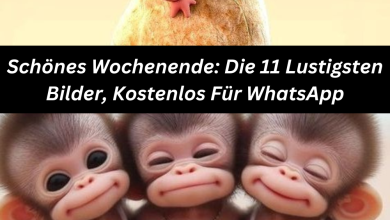 Photo of Schönes Wochenende: Die 11 Lustigsten Bilder, Kostenlos Für WhatsApp