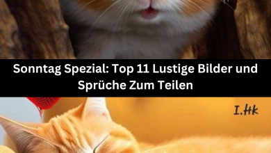 Photo of Sonntag Spezial: Top 11 Lustige Bilder und Sprüche Zum Teilen