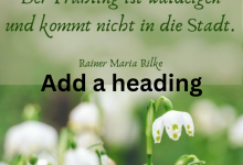 Photo of Frühlingsanfang Bilder Kostenlos: Die 11 Besten für frische Frühlingsgefühle