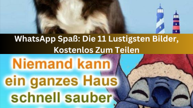 Photo of WhatsApp Spaß: Die 11 Lustigsten Bilder, Kostenlos Zum Teilen