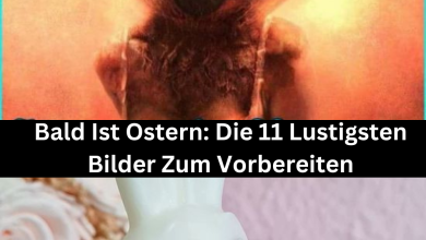 Photo of Bald Ist Ostern: Die 11 Lustigsten Bilder Zum Vorbereiten